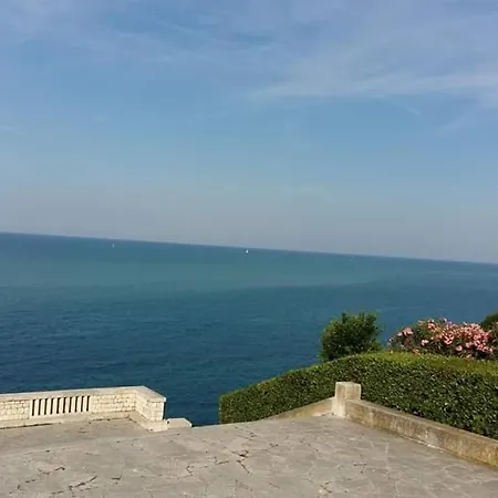 Casa Viorica Pensión *