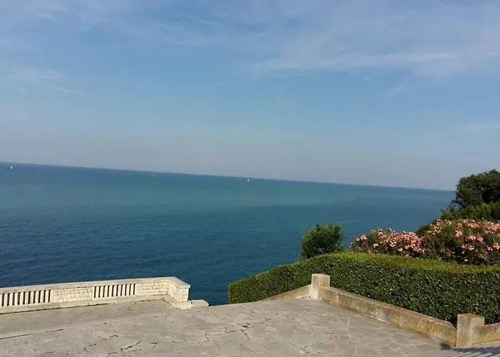 Casa Viorica Pensión *