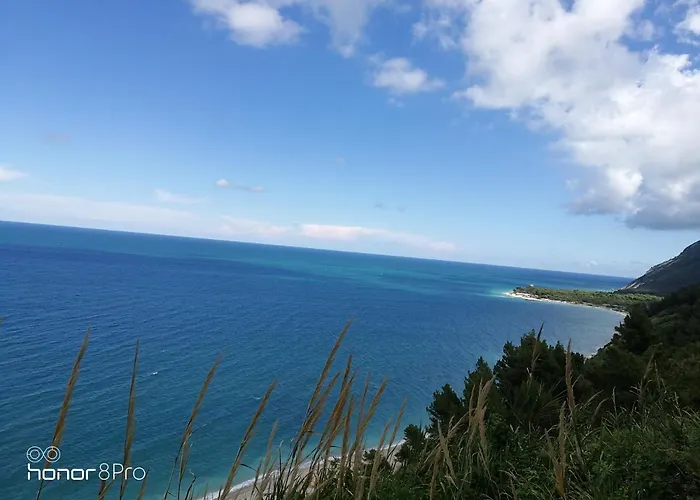 Pensión Casa Viorica Ancona