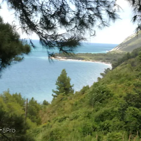 Casa Viorica בית הארחה *