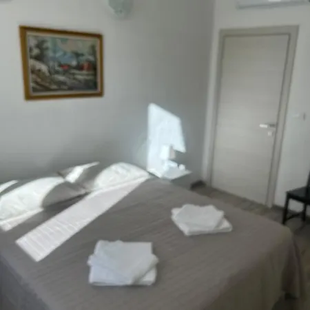 Casa Viorica בית הארחה *