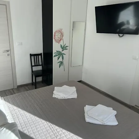 בית הארחה Casa Viorica *