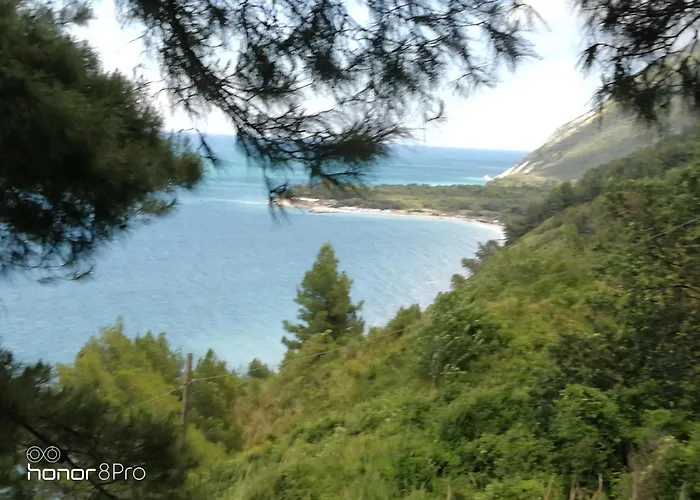 Casa Viorica בית הארחה *