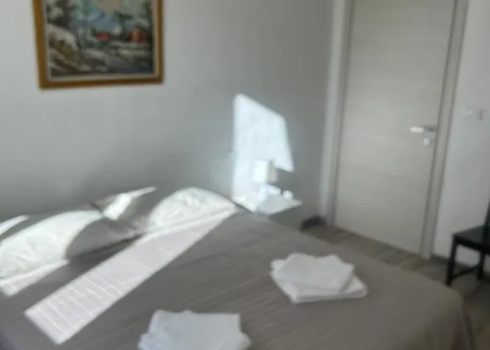 Casa Viorica בית הארחה *